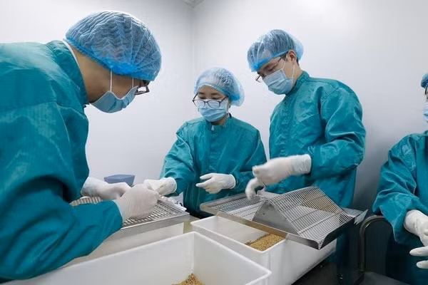 Việt Nam ghi nhận 1 trường hợp là BN1435 nhiễm chủng virus SARS-CoV-2 - biến thể VOC 202012/01