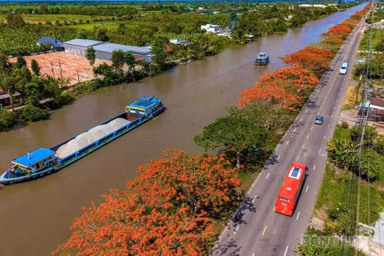 Cận cảnh con đường đầy hoa phượng vĩ đẹp nhất miền Tây
