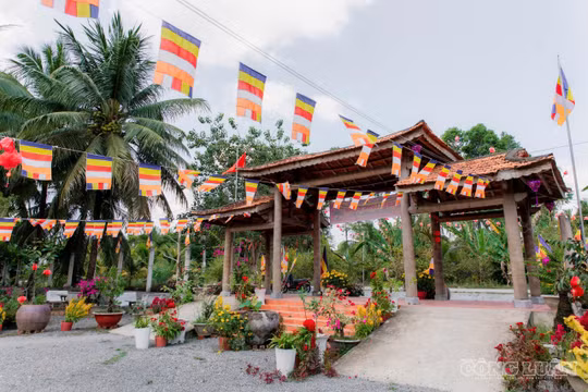 chùa dừa Vĩnh Long