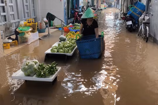 Vĩnh Long đối mặt với các đợt triều cường gây ngập sâu trong ba tháng cuối năm