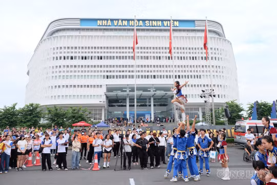 Vừa bước vào đại học, tân sinh viên TPHCM đã phải làm quen với AI, tài chính, việc làm