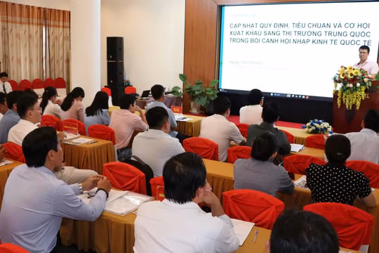 Doanh nghiệp Vĩnh Long cập nhật quy định mới để mở rộng xuất khẩu sang Trung Quốc