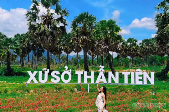An Giang: Đánh thức tiềm năng du lịch cộng đồng dưới tán rừng thốt nốt