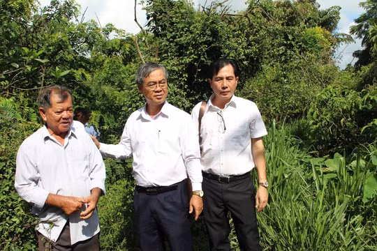 Vĩnh Long: Lãnh đạo tỉnh trực tiếp "xuống" vườn chim Hai Chìa tìm hướng giải quyết