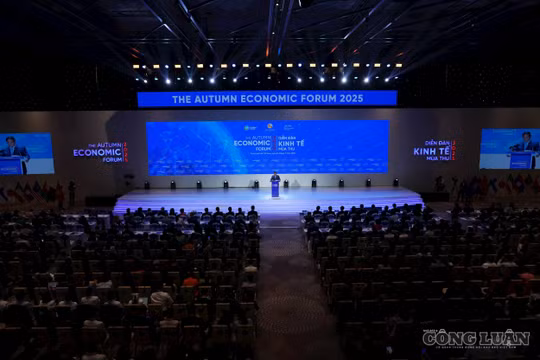 TP.HCM sắp đón 1.500 đại biểu dự Diễn đàn Kinh tế Mùa thu 2026