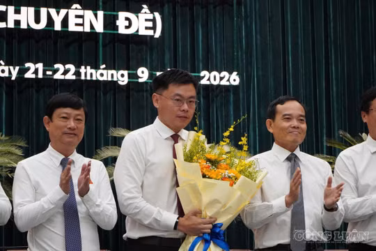 Ông Trương Minh Huy Vũ được bầu làm Phó Chủ tịch UBND TPHCM