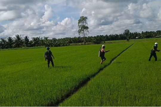 Vĩnh Long: Xử lý nghiêm nhóm đối tượng chống người thi hành công vụ và hủy hoại tài sản