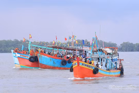 Cần Thơ: Nâng tầm Lễ hội Nghinh Ông xã Trần Đề với quy mô lớn nhất từ trước đến nay
