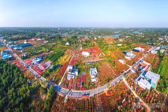 Vĩnh Long: Tháo gỡ 'nút thắt' mã số vùng trồng và xuất khẩu nông sản