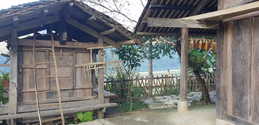 nguoi dao tien o hoai khao hinh 3