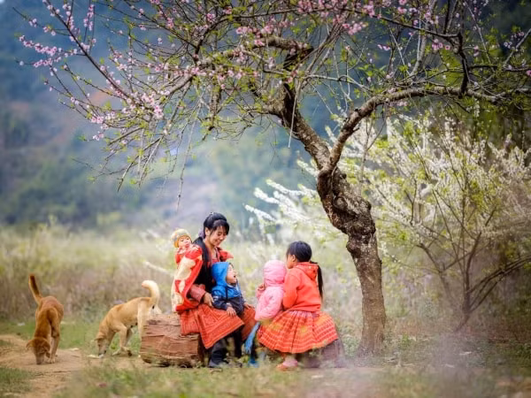 sac xuan mien tay bac hinh 1
