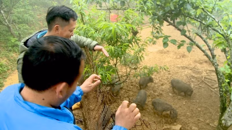 mo lon an tet net van hoa truyen thong cua nguoi mong hinh 3