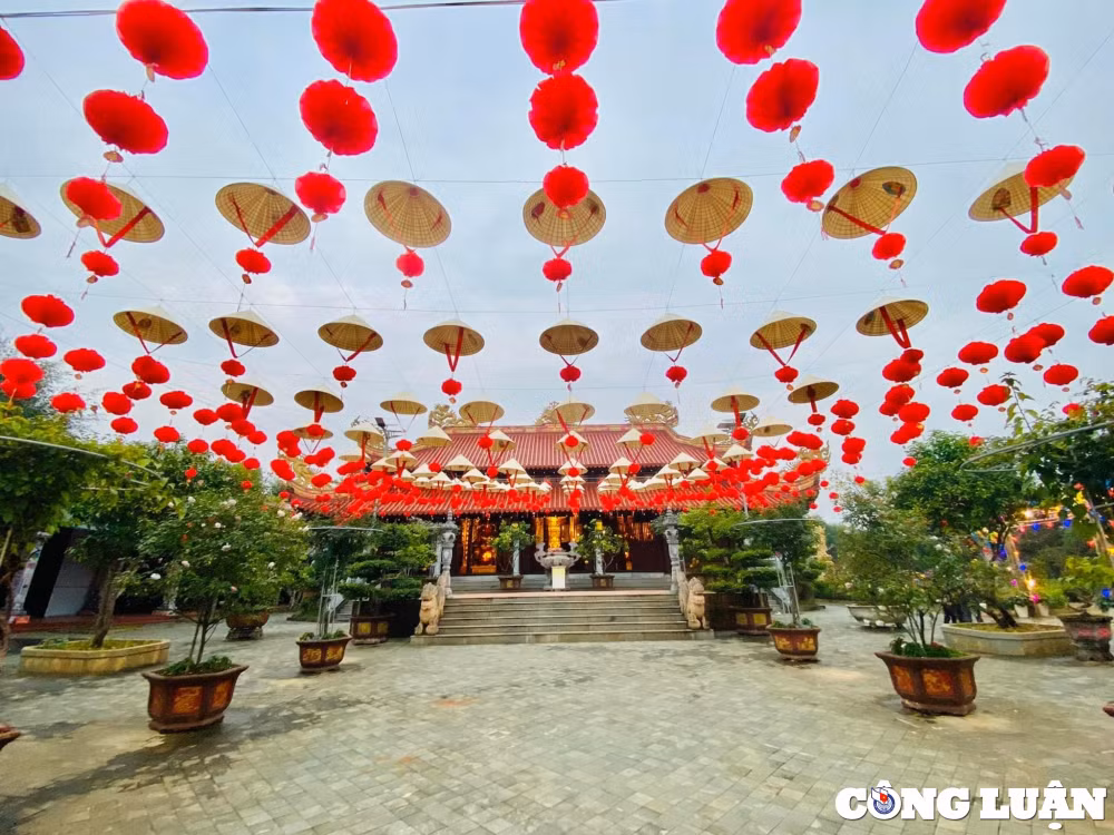 dau nam mao ve thanh hoa tham chua meo hinh 4