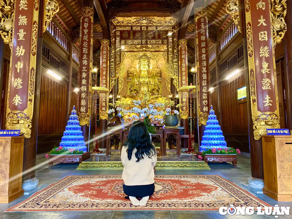 dau nam mao ve thanh hoa tham chua meo hinh 3