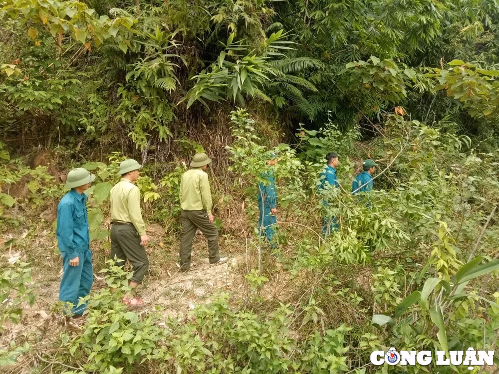 ve ban vin don tet cung kiem lam hinh 2