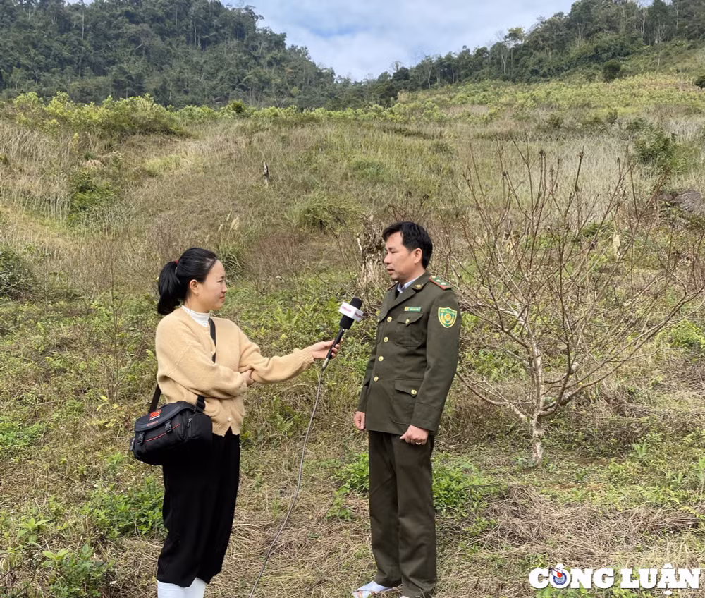 ve ban vin don tet cung kiem lam hinh 4