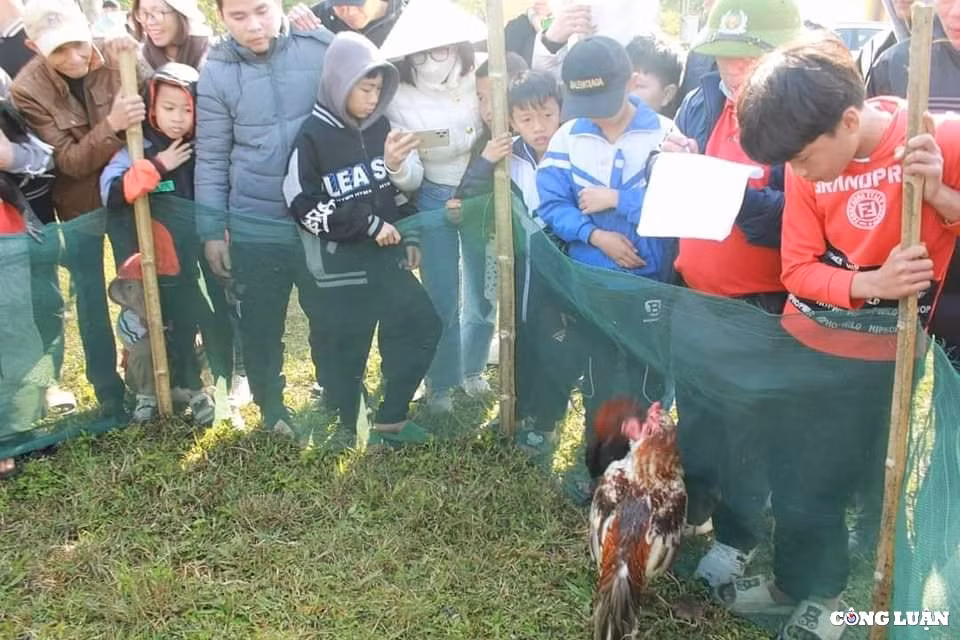 khai hoi chua huong tich mo dau nam du lich ha tinh 2023 hinh 16