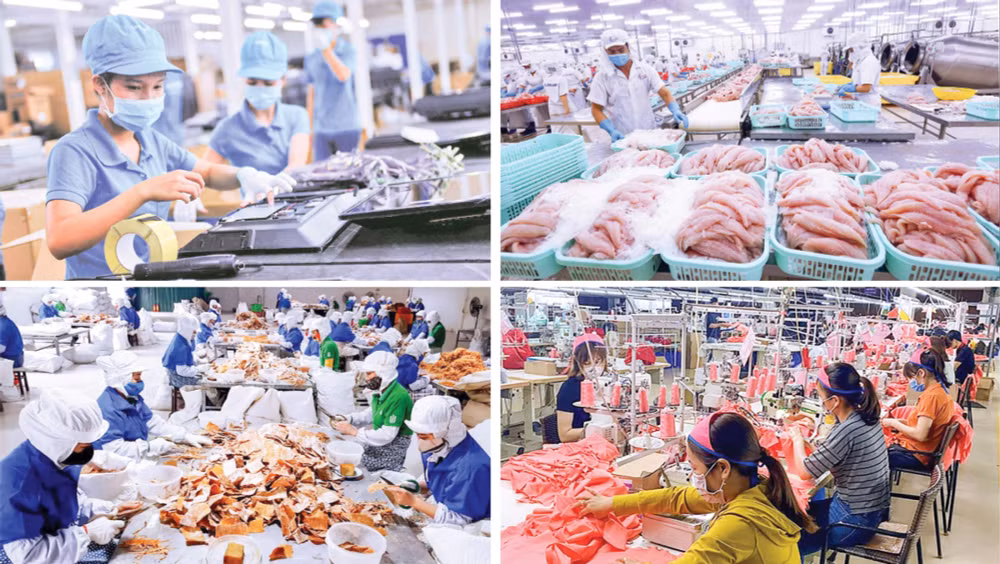 ts le duy binh nam 2023 kinh te tu nhan can dong luc manh me khac biet hon de but pha hinh 2