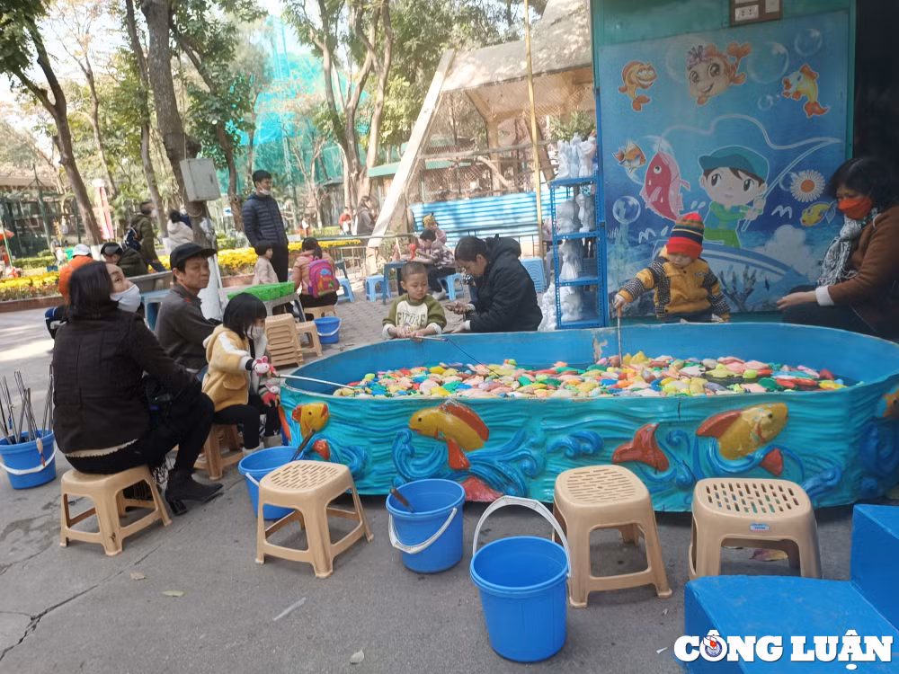 cong vien thu le hut khach tham quan trong nhung ngay dau nam moi quy mao hinh 14