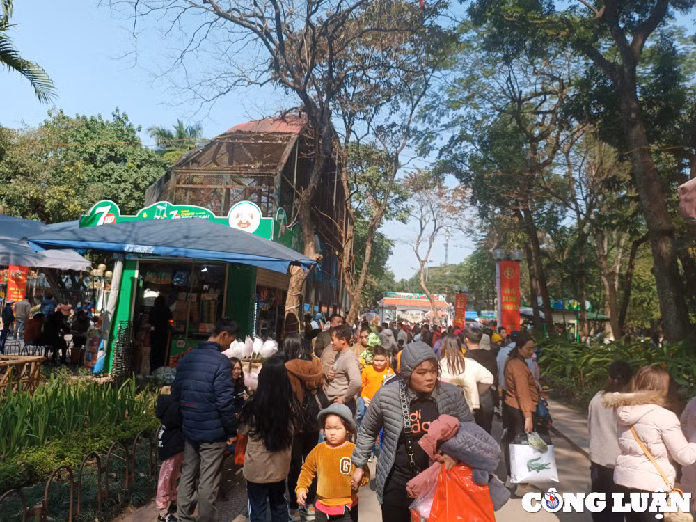 cong vien thu le hut khach tham quan trong nhung ngay dau nam moi quy mao hinh 3