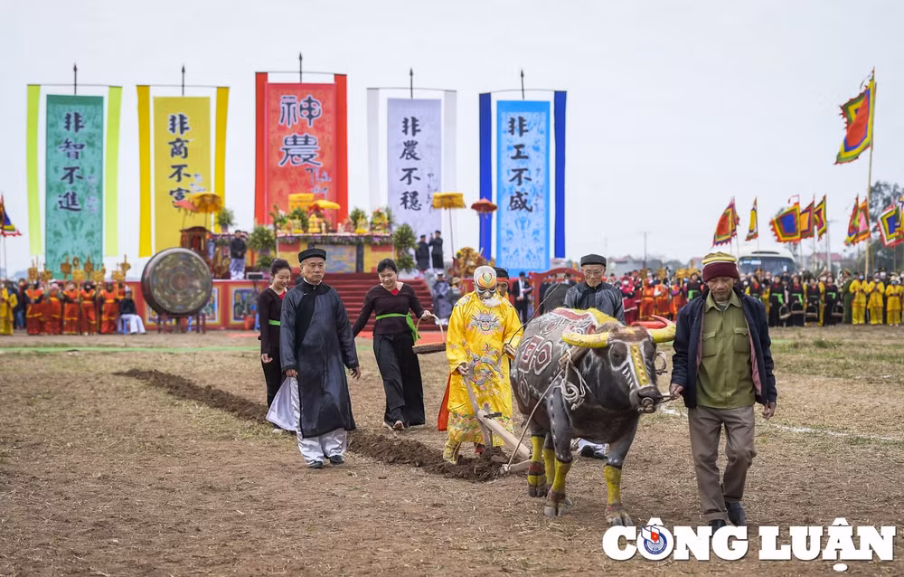 dau nam tai hien nghi le vua xuong ruong di cay tai le hoi tich dien doi son hinh 7