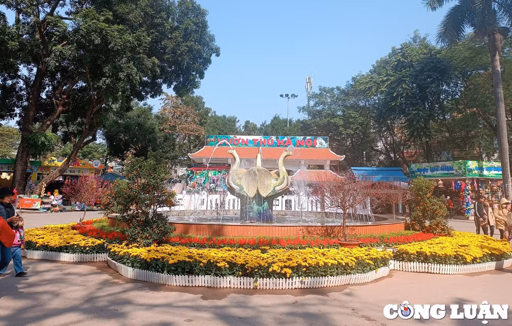 cong vien thu le hut khach tham quan trong nhung ngay dau nam moi quy mao hinh 1