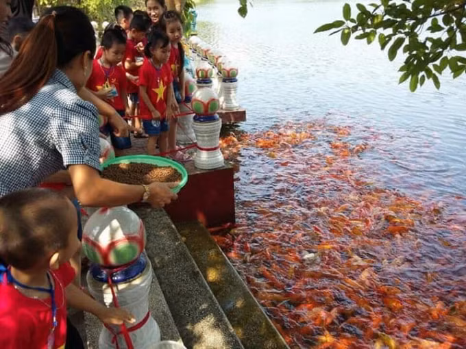Các nhóm lớp đi báo công với Bác Hồ và thăm ao cá Bác Hồ.