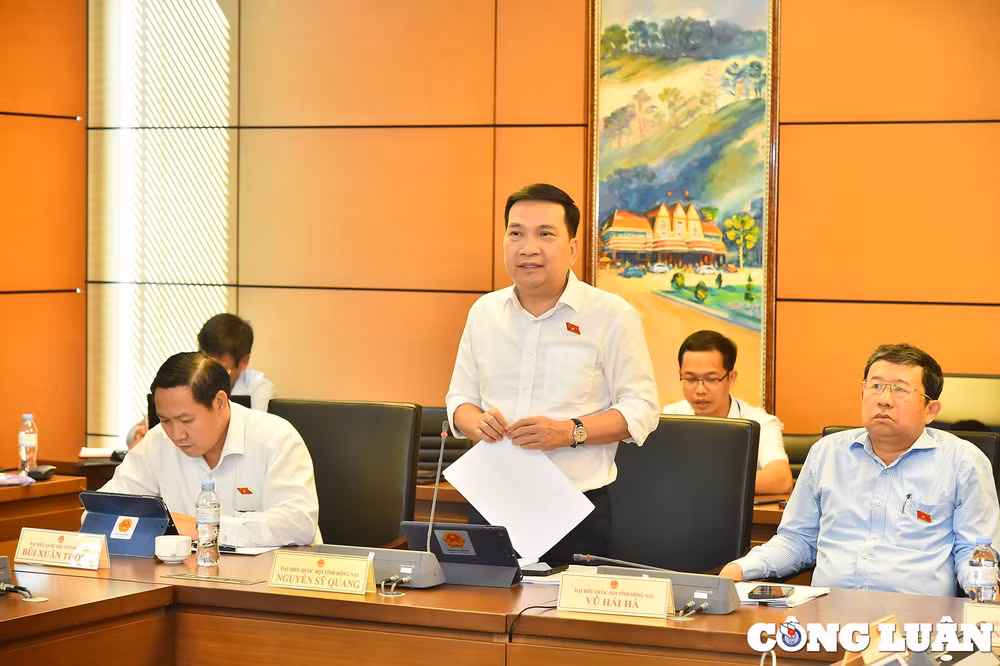 dai bieu quoc hoi can tru diem giay phep lai xe neu vi pham giao thong hinh 4