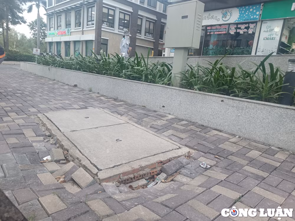 xuat hien tinh trang sut lun tai mot so toa nha thuoc phan khu flora mizuki cua chu dau tu nam long hinh 4