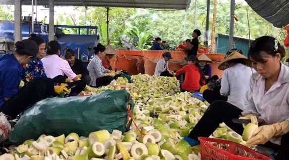 chat luong cuoc song cua dong bao ngay cang duoc nang cao hinh 1
