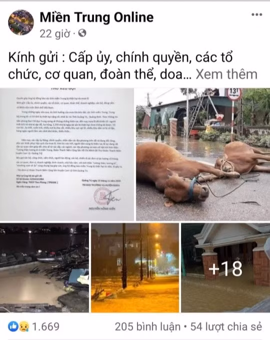 quang tri mao danh doan thanh nien keu goi ho tro thiet hai do mua lu hinh 2