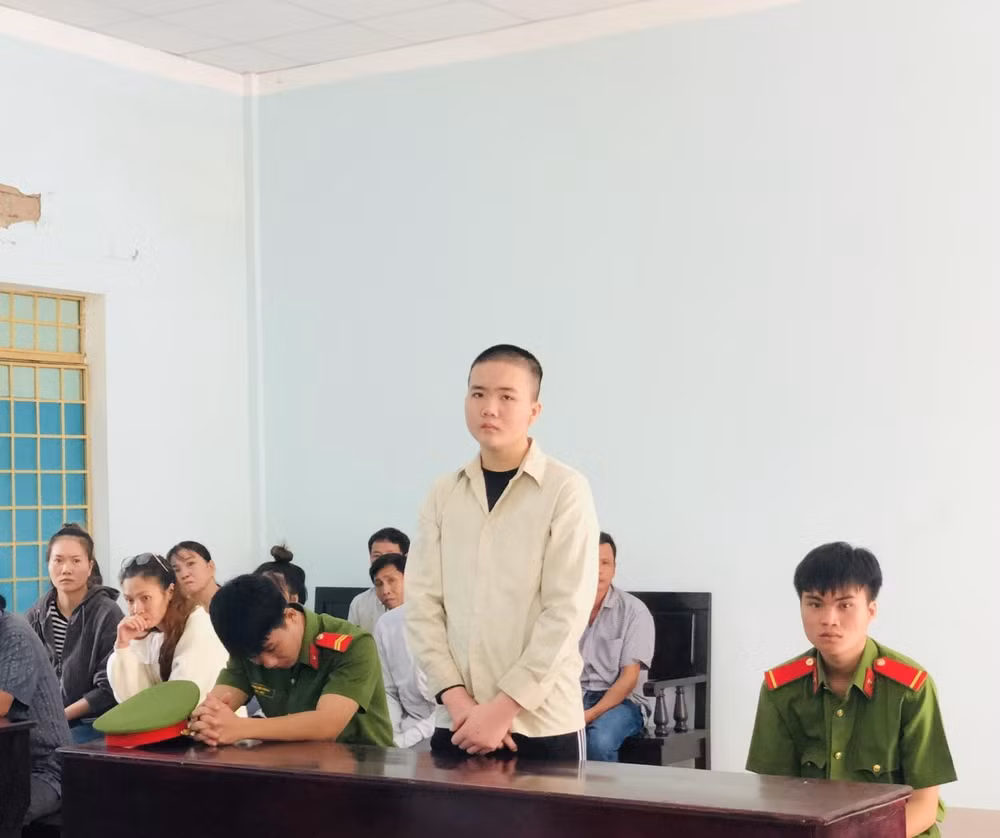 gia lai mau thuan tu viec goi dien de gap anh trai thieu nien dam chet nguoi hinh 1