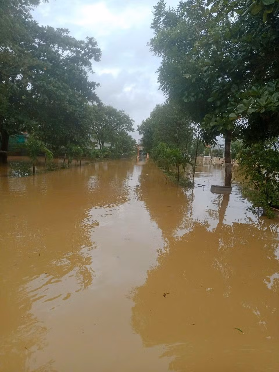 mua lu o mien trung da khien 5 nguoi chet mat tich va hon 12 nghin ngoi nha bi ngap hinh 1