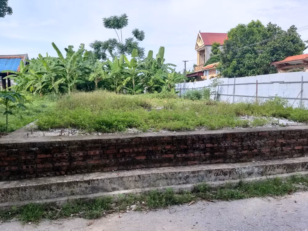 thanh hoa can lam ro viec su dung nguon von xa hoi hoa 30 ty dong tai du an ton tao khu di tich phu trinh hinh 4