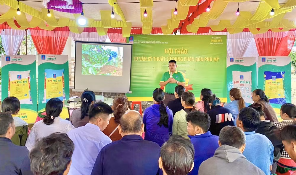 chuyen kinh doanh npk phu my tan tam voi ruong vuon ba con nong dan hinh 3