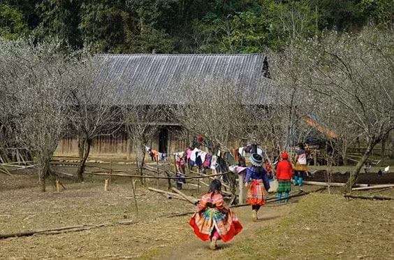 tua chua dien bien day nhanh tien do lam nha cho nguoi ngheo hinh 1