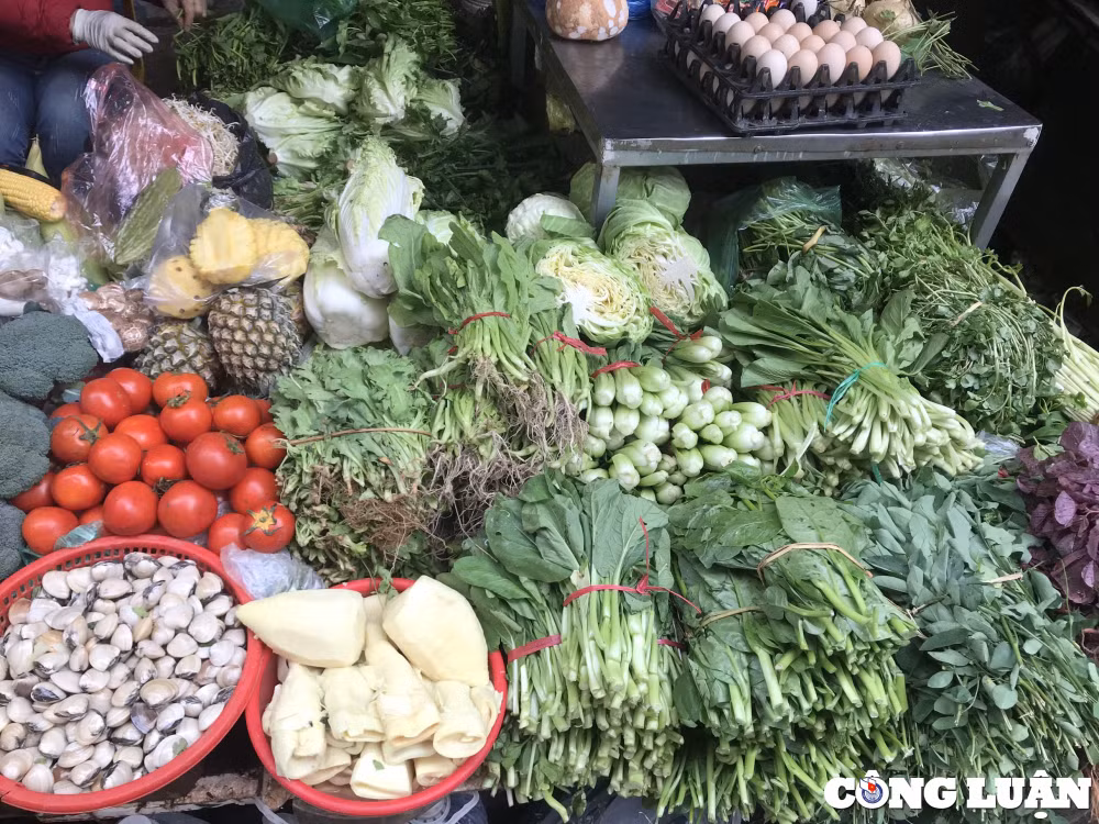 ha noi gia rau xanh nhay mua theo thoi tiet hinh 1