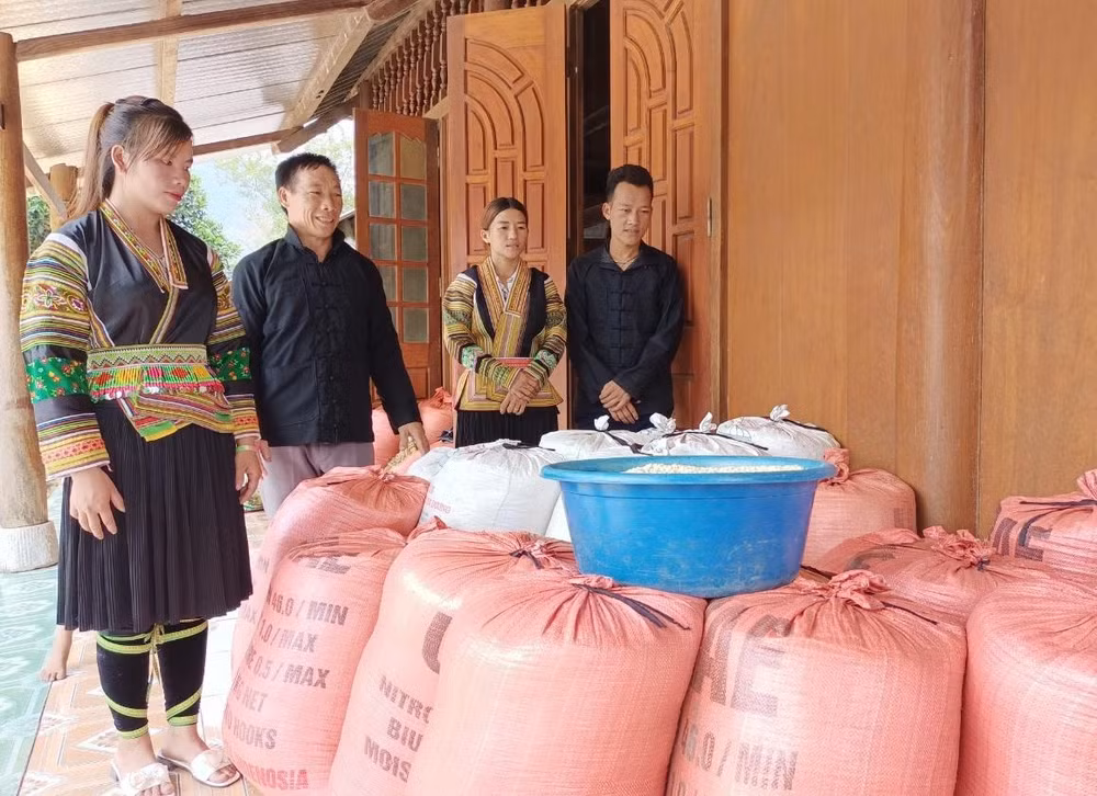tuyen quang day manh tuyen truyen van dong xoa bo nan tao hon va hon nhan can huyet thong hinh 1