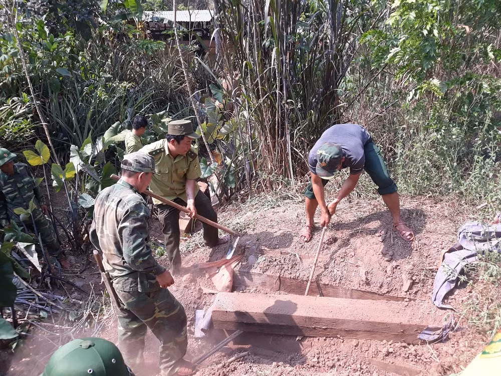 3 hầm gỗ mun được chôn giấu sâu dưới lòng đất.