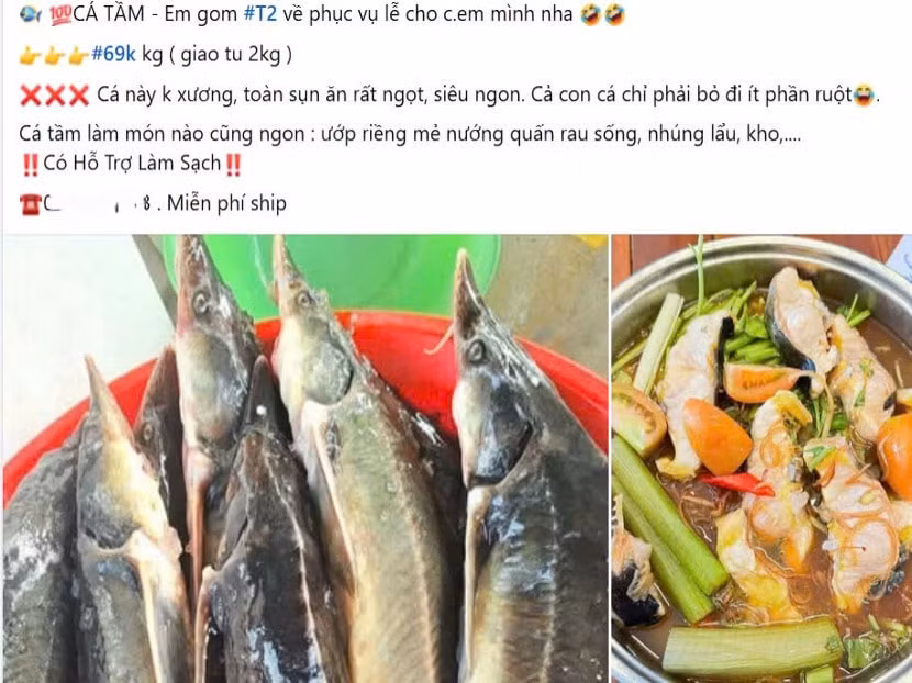 dang sau mon hoi ca tam ban re tren mang xa hoi hinh 1