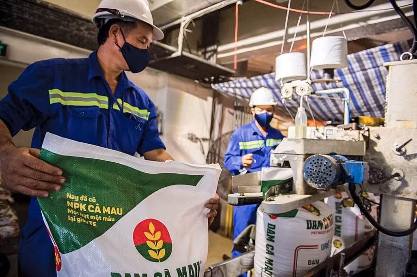 quy i 2025 petrovietnam but pha manh me hinh 6