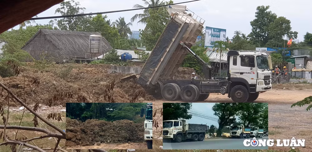dong nai phat lo vu van chuyen dat trai phep tu du an nha o xa hoi long binh tan hinh 1