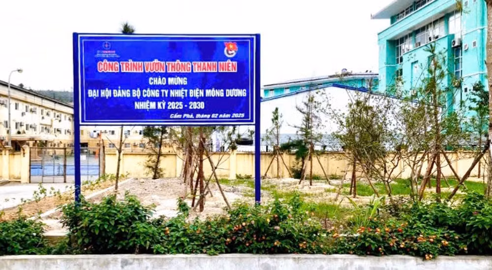phat huy suc tre cua doan vien thanh nien cong ty nhiet dien mong duong hinh 1