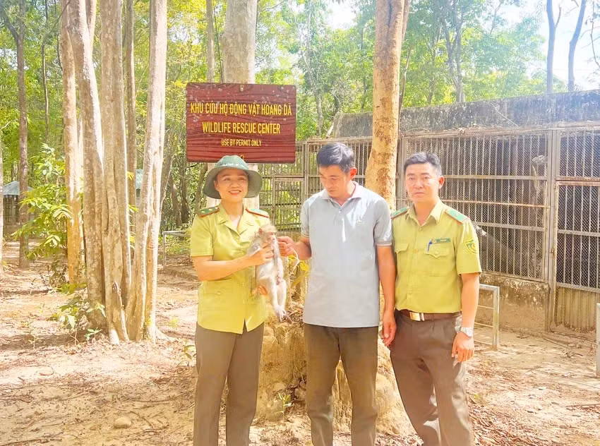 kon tum vuon quoc gia chu mom ray tiep nhan khi duoi dai quy hiem bi cut tay hinh 1