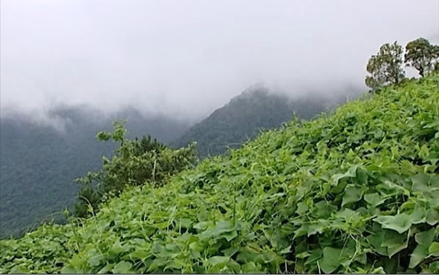 vinh phuc cong nghiep dien tu co muc tang truong cao hinh 3