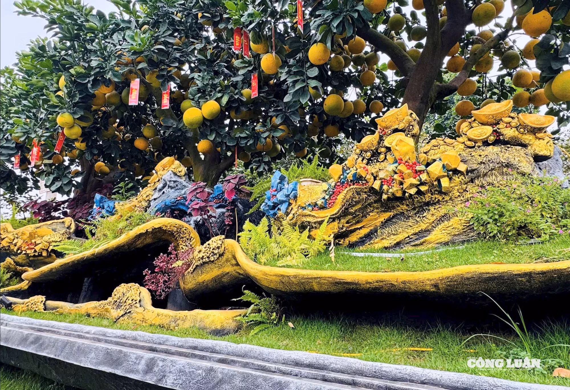 4d06556b-c528-42db-b0cb-bc93f9aca474_1_201_a.jpeg