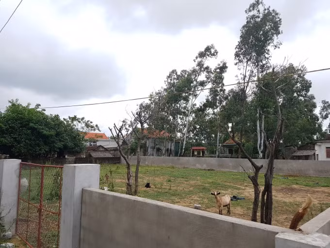 Thửa đất mà ông Nguyễn Khắc Dương đang sử dụng này đã được huyện Nghi Xuân cấp “sổ đỏ” cho ông Trần Khắc Vinh.