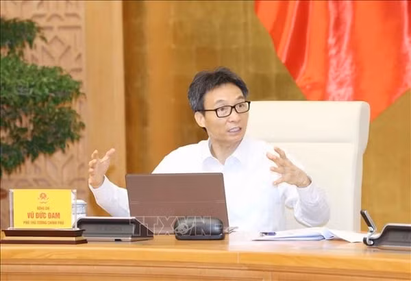 Phó Thủ tướng Vũ Đức Đam, Trưởng Ban Chỉ đạo phát biểu tại cuộc họp. Ảnh: TTXVN