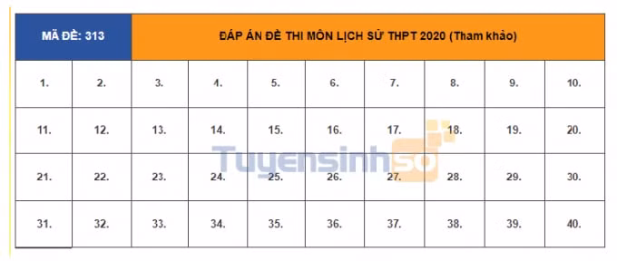 lịch sử 313