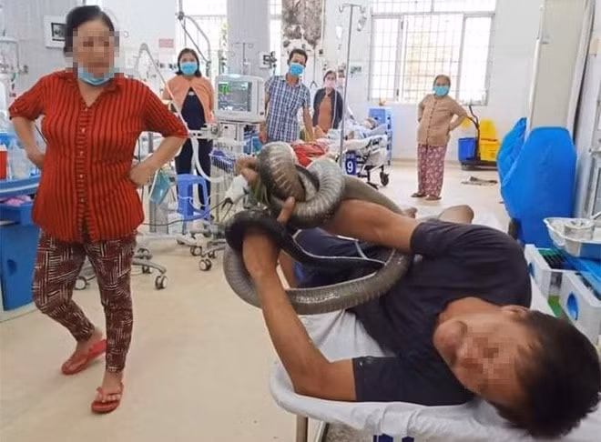 nạn nhân bị rắn cắn